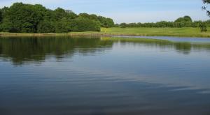 View image gallery image