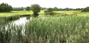 View image gallery image